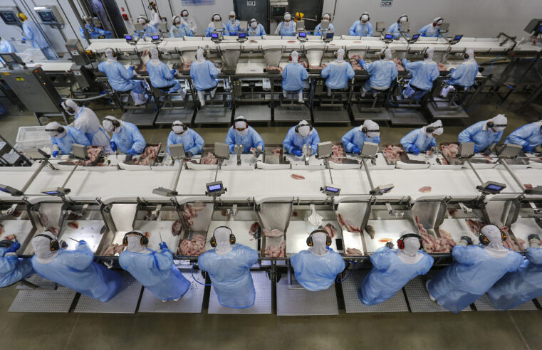 Paraná é o terceiro estado que mais gera empregos em 2025: 80 mil vagas de janeiro a abril