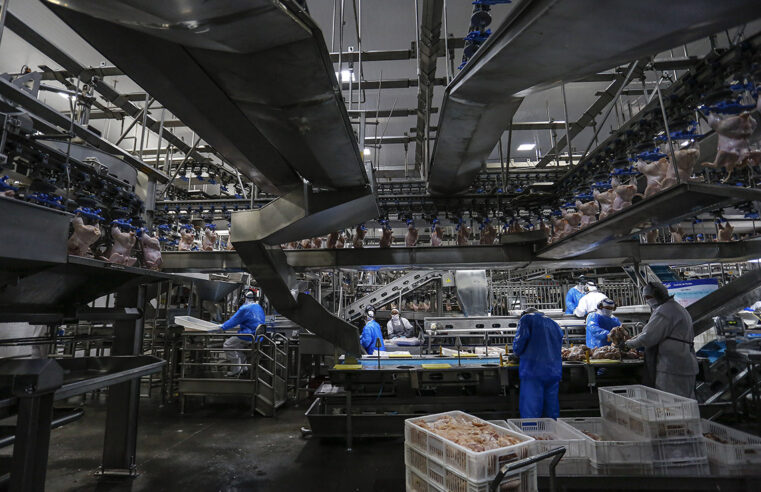 Atividade econômica puxa crescimento do mercado de energia elétrica no Paraná