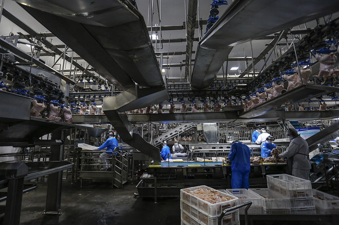 Atividade econômica puxa crescimento do mercado de energia elétrica no Paraná