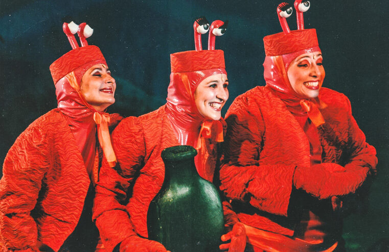 Experiente Professora Mariana Montanari reforça protagonismo da dança brasileira no Festival de Dança de Joinville